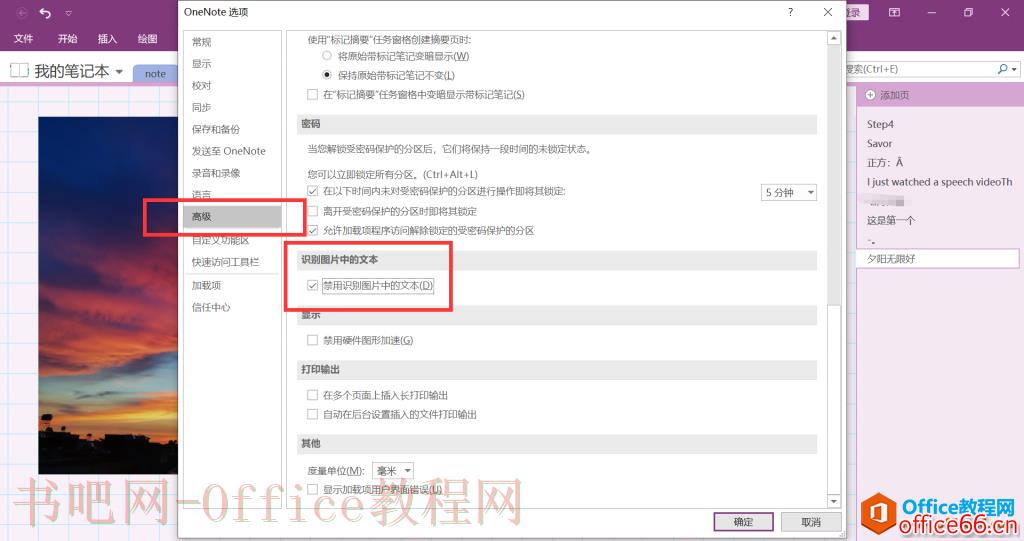 OneNote