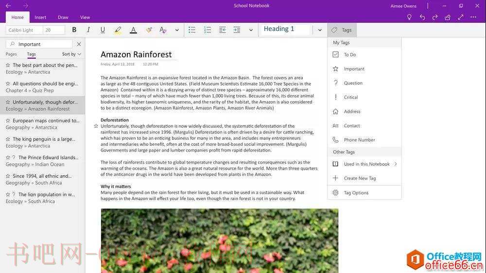 The best version of OneNote on Windows