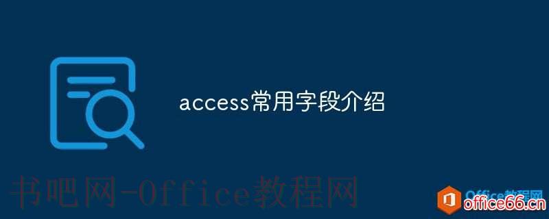 access常用字段介绍