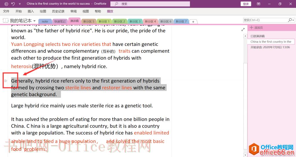 OneNote