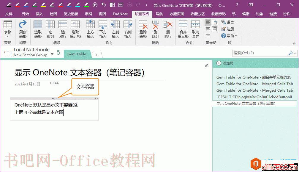 OneNote 如何关闭不显示文本容器？