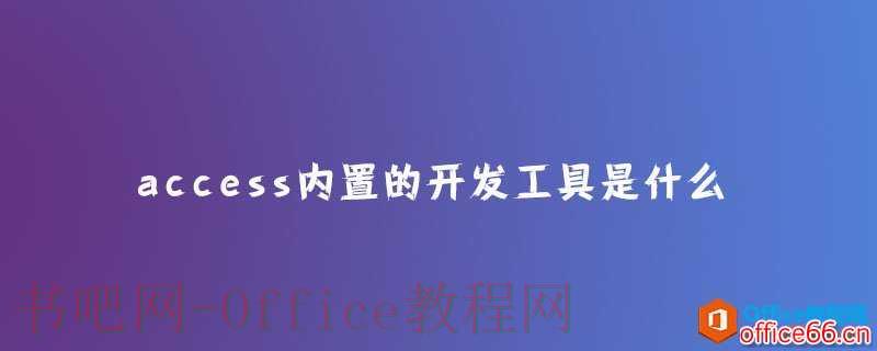 access内置的开发工具是什么？