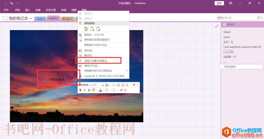 OneNote
