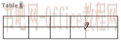 image1.jpg