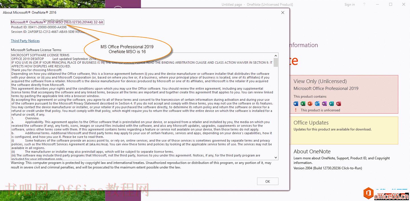 Microsoft Office Professional 2019里的OneNote的MSO版本号是16.0