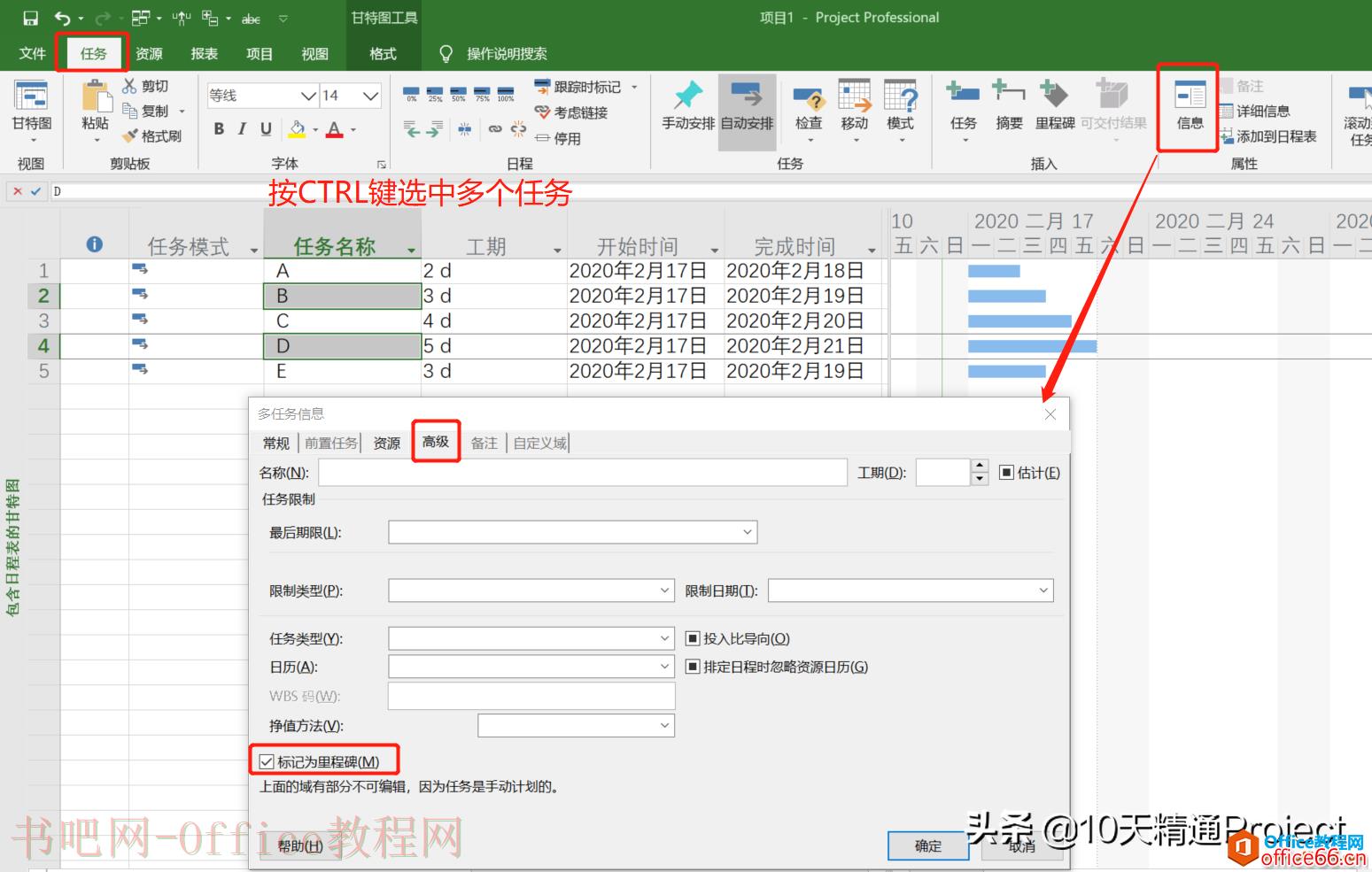 「Project 教程」超实用的多任务信息窗口，批量修改任务信息
