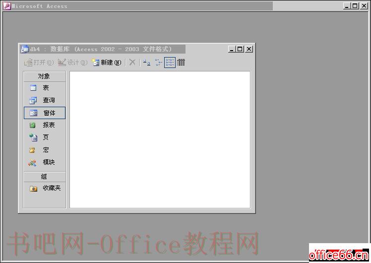 Access如何设置透明图标按钮