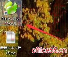 navicat如何自动保存