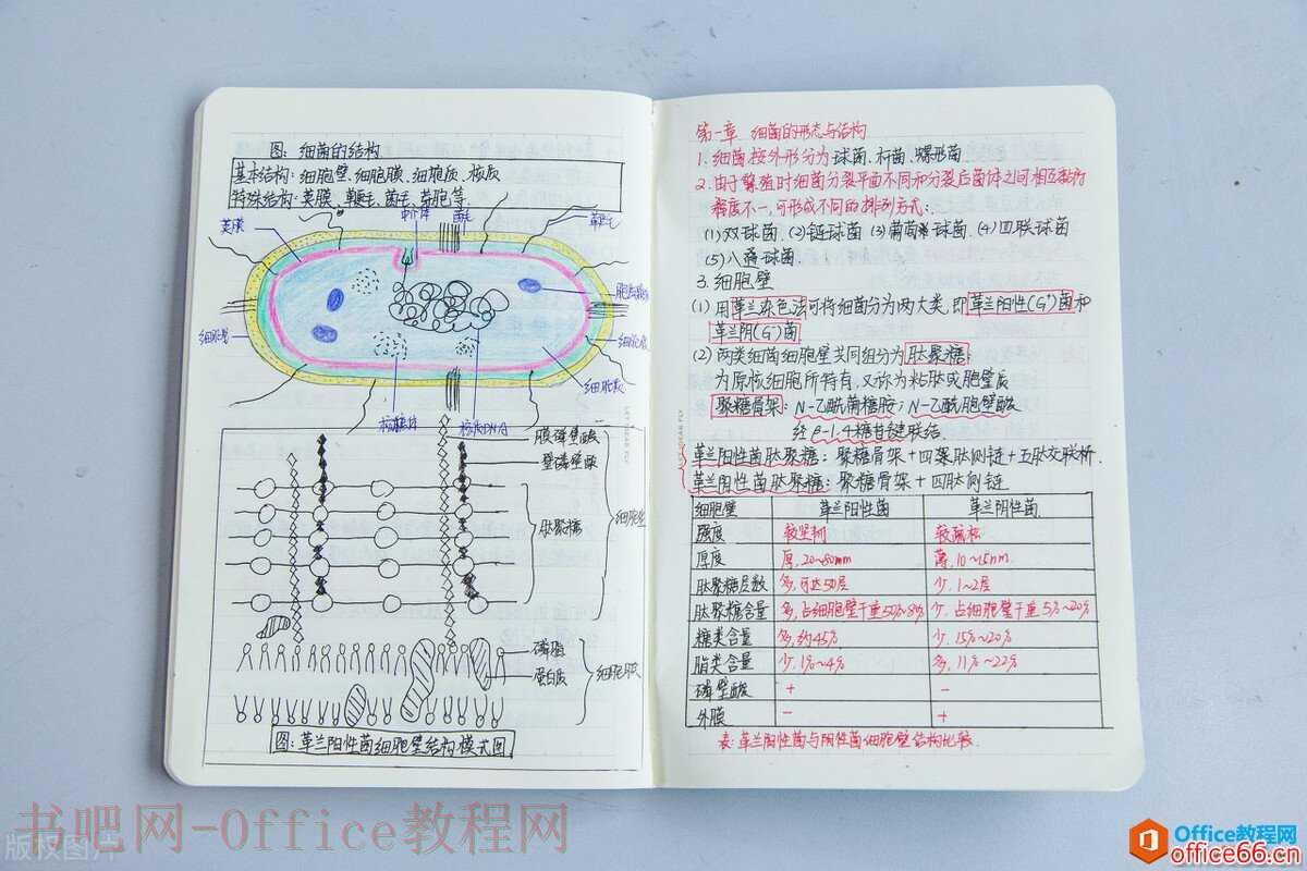 如何用onenote做笔记